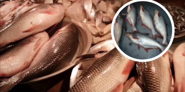 ‘কিনবার আইছি রুই-কাতল, পাঙ্গাশ কিন্ন্যা বাড়িত যাইতাছি’